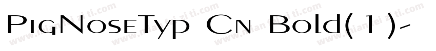 PigNoseTyp Cn Bold(1)字体转换